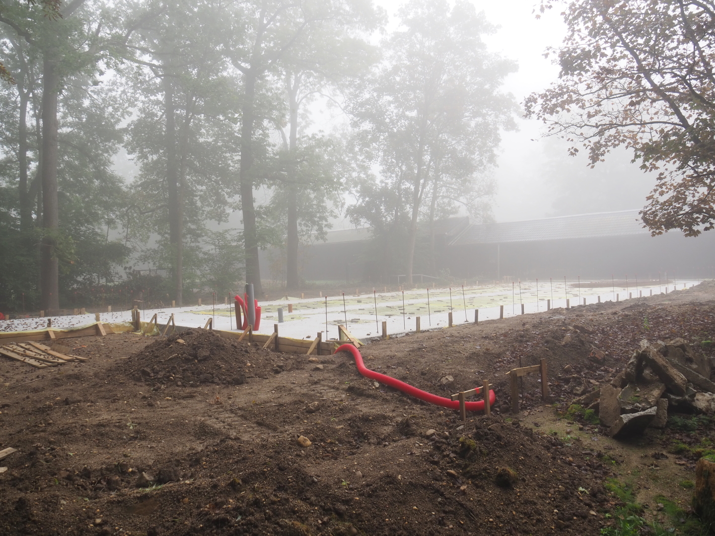 Antelope area renovation - Foundation for new building in former Slender-horned gazelle paddock, 2021-10-10