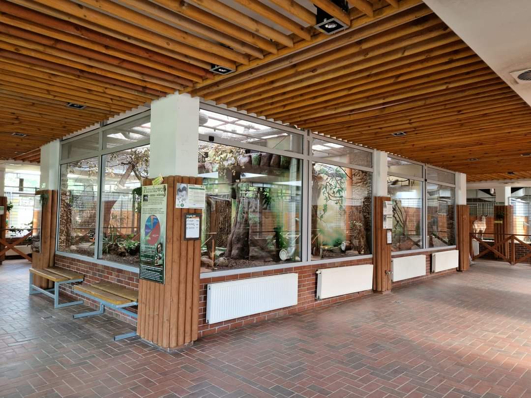 Antelope House/ Callitrichid exhibit