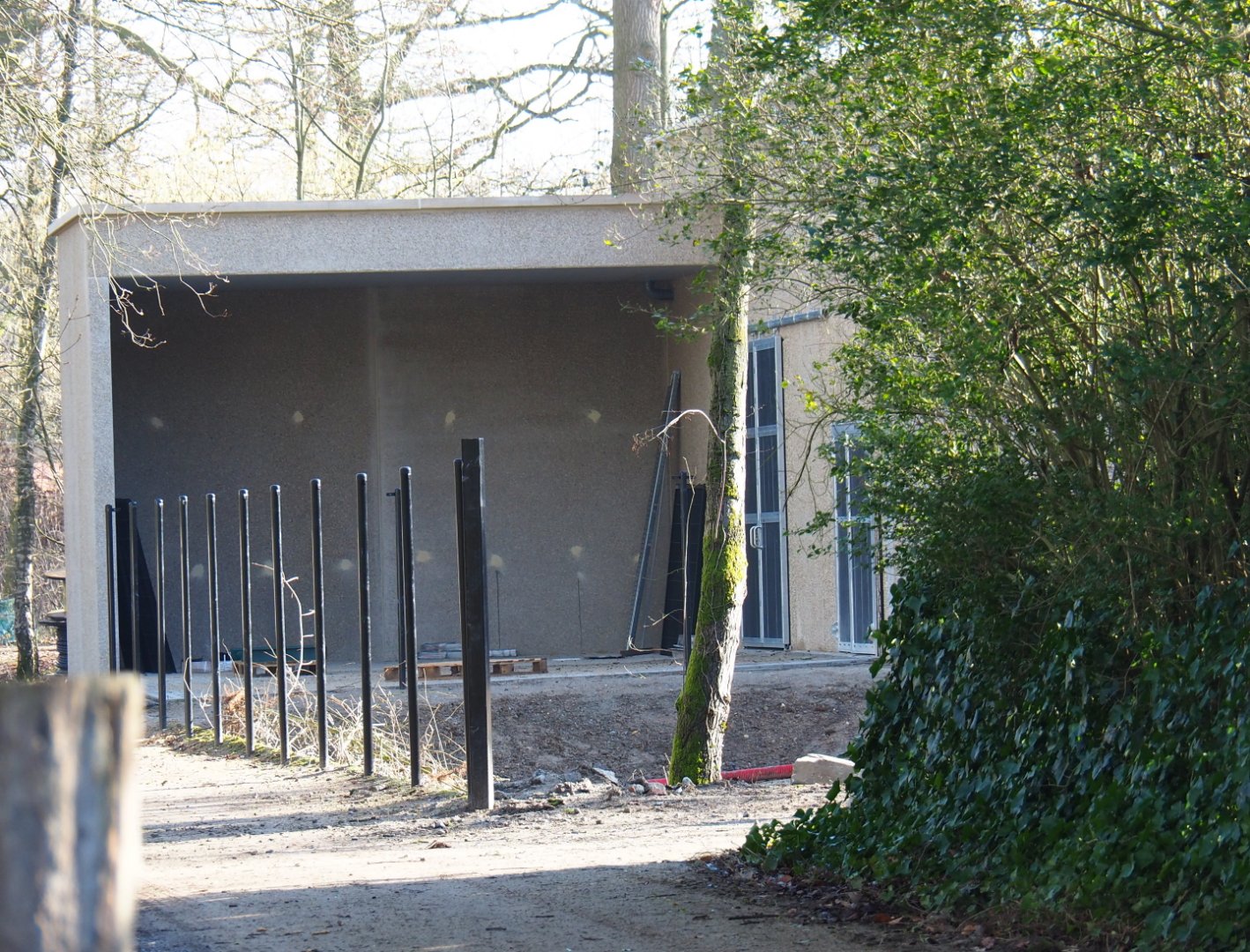 Antelope house construction - Placement of new fencing between new antelope house and cheetah exhibit, 2022-02-12