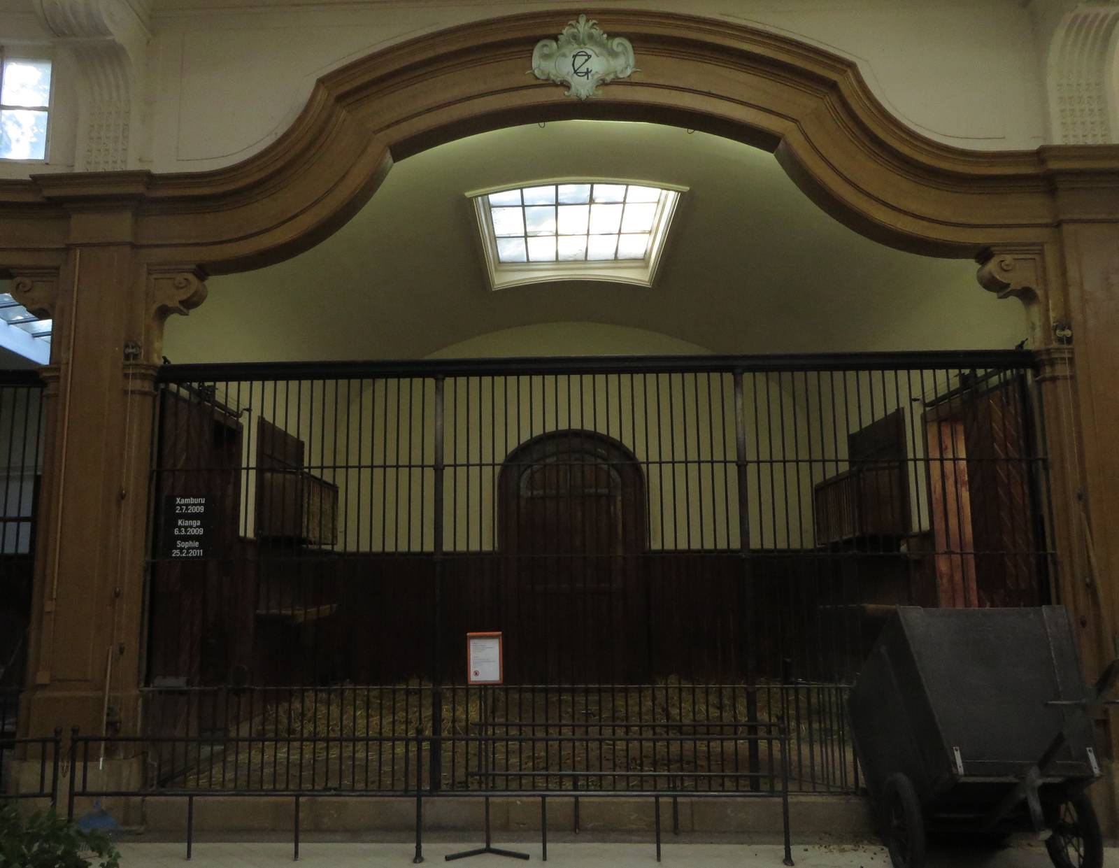 Antelope house - giraffe indoors