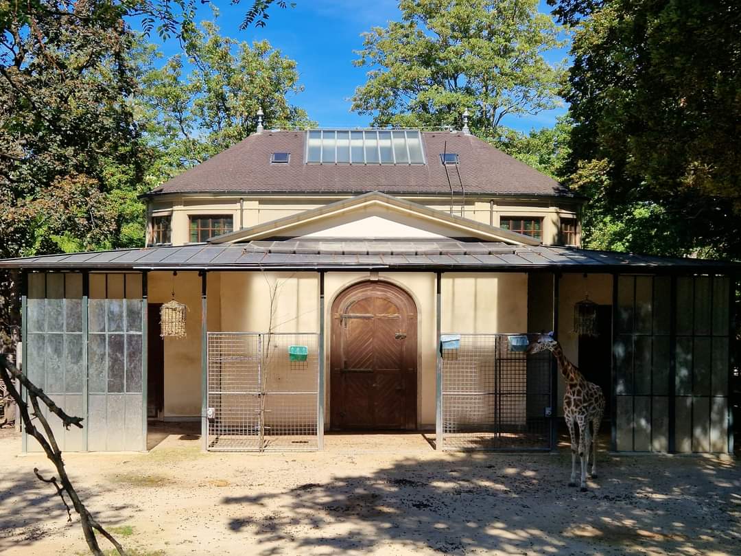 Antelope house, Giraffe outdoor