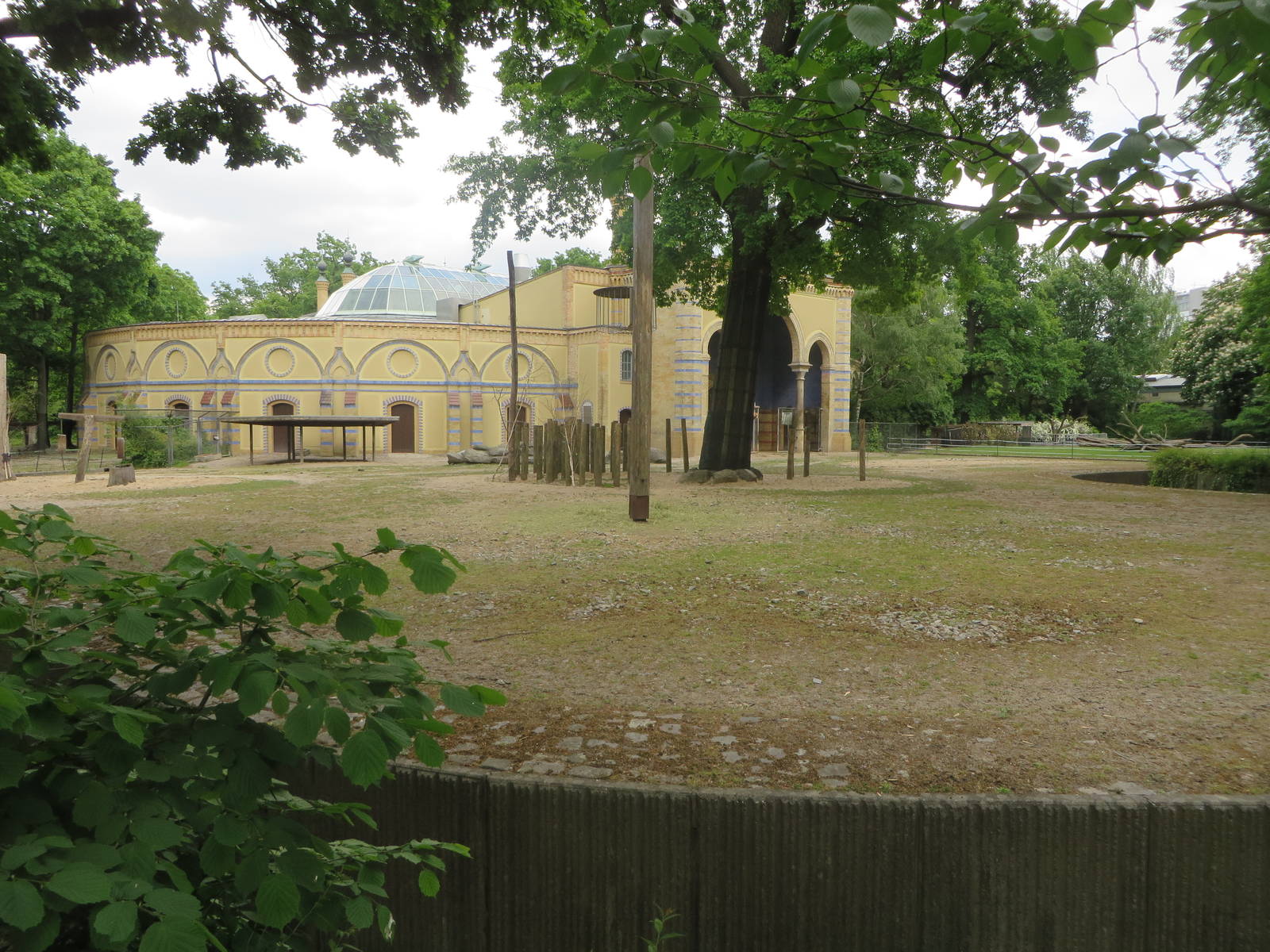 Antelope house - Giraffe outdoors