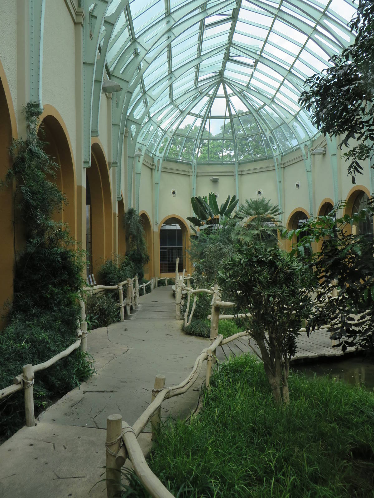 Antelope house - interior