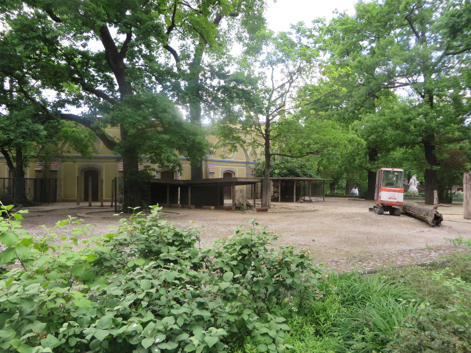 Antelope house - Lechwe outdoors