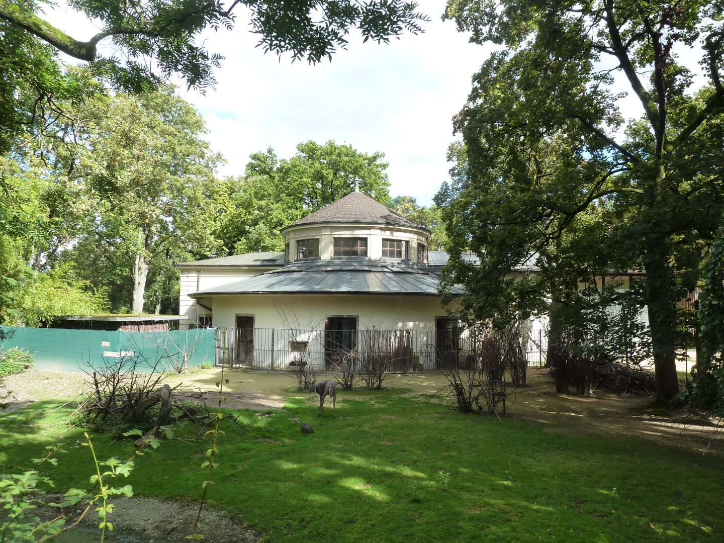 Antelope House - Lesser kudu enclosure