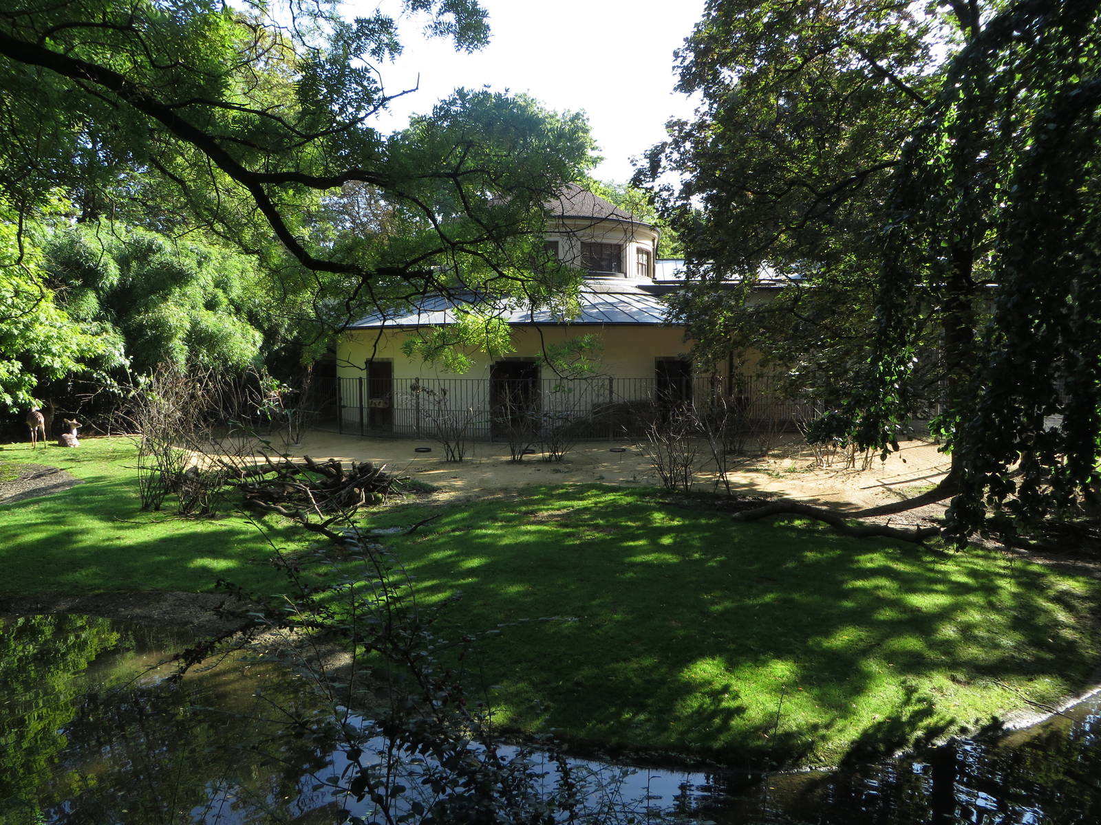 Antelope house - lesser kudu outdoors