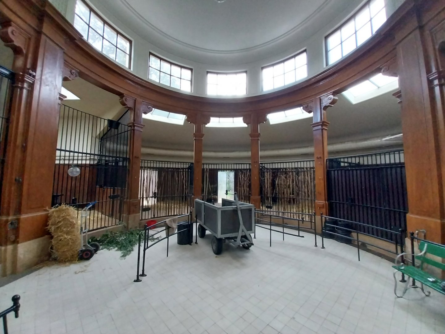 Antelope House - Lesser kudu section