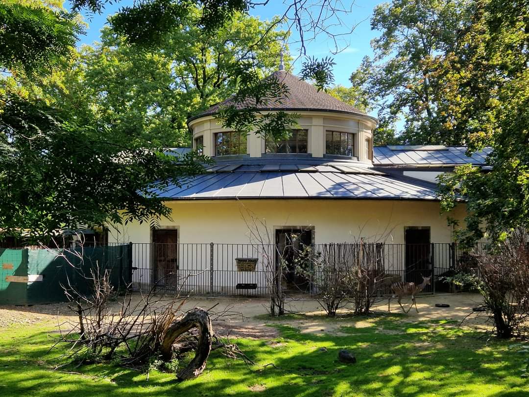 Antelope house, Lesser Kudu