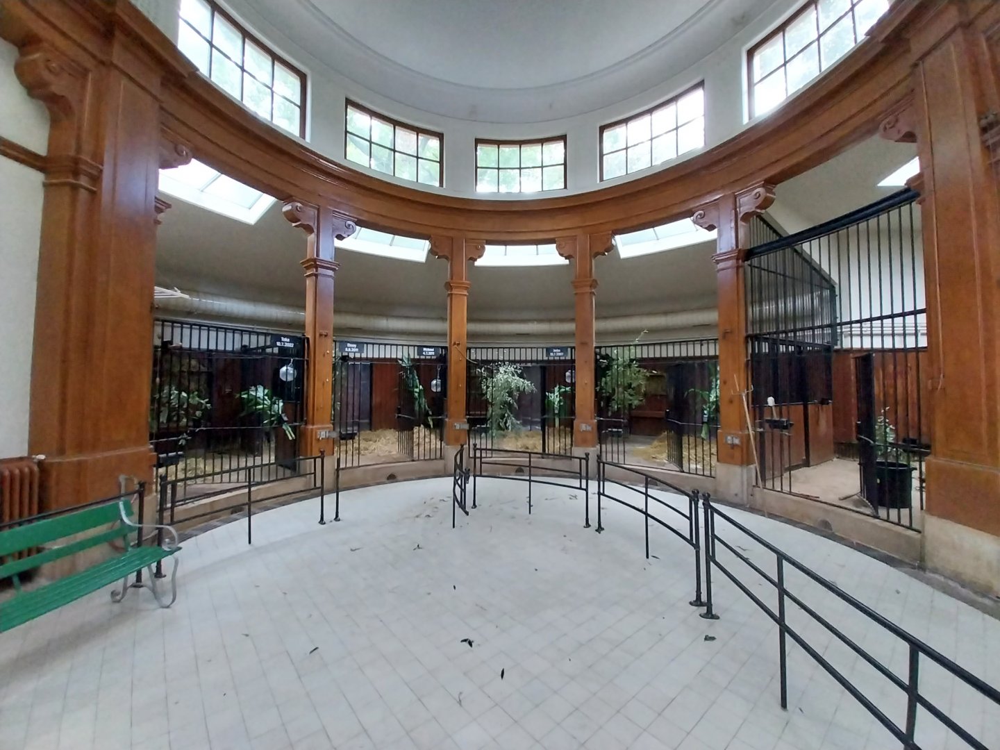 Antelope House - Okapi section