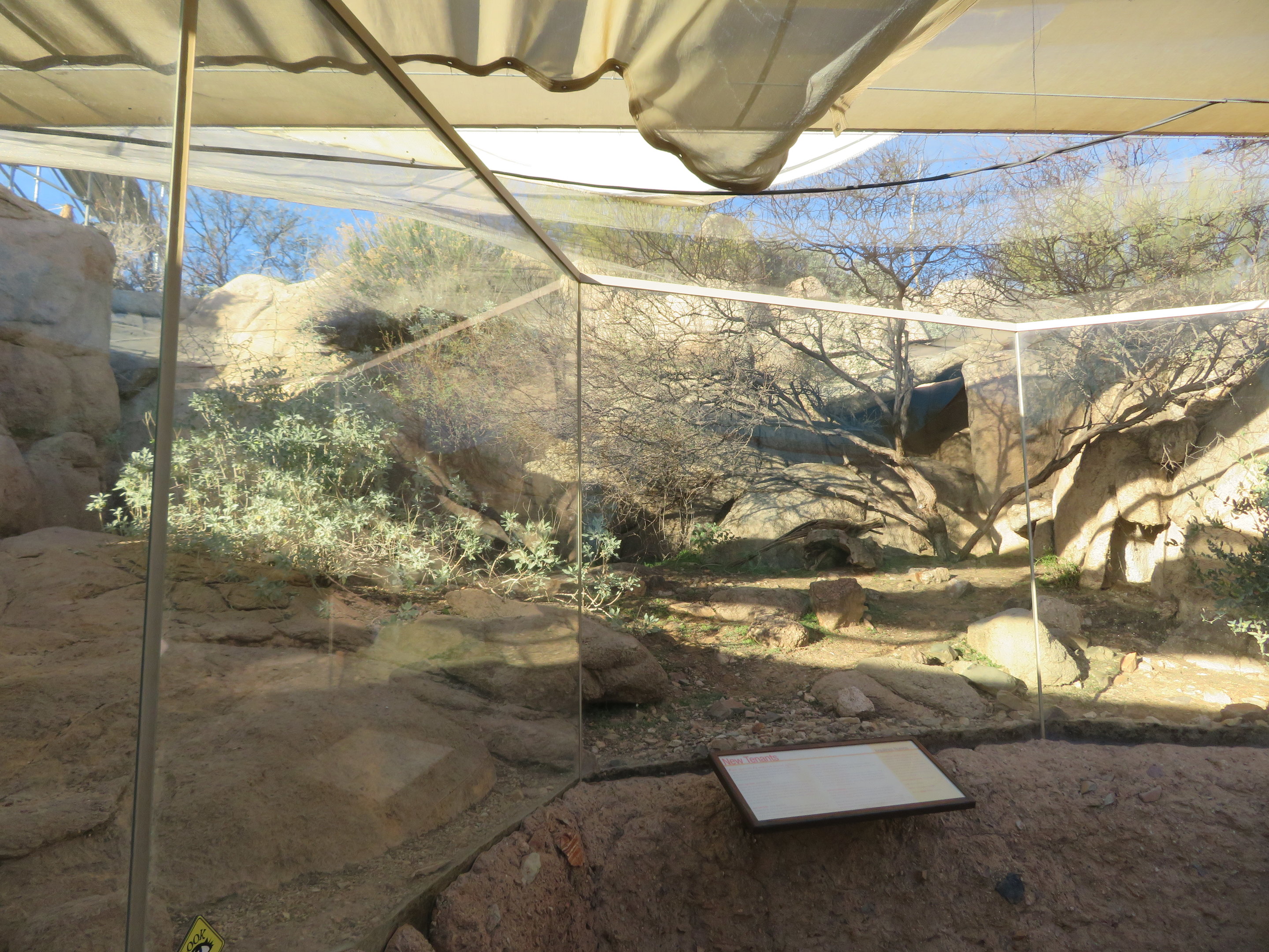 Antelope Jackrabbit and Co. Exhibit