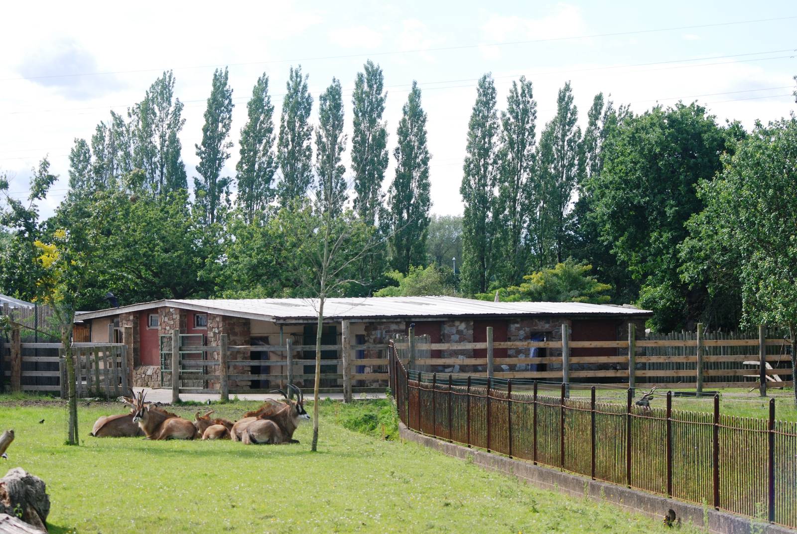 Antelope Paddocks at Chester, 15/07/12