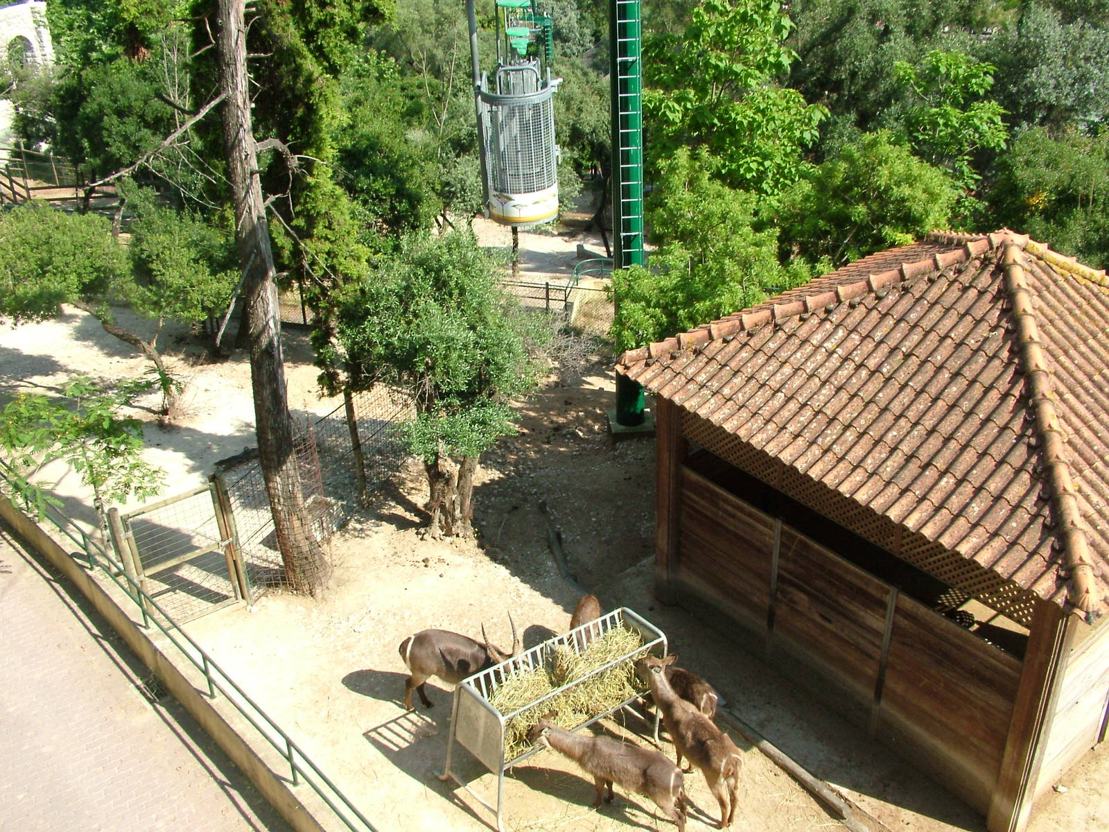 Antelope Paddocks at Lisbon Zoo, 24/05/11