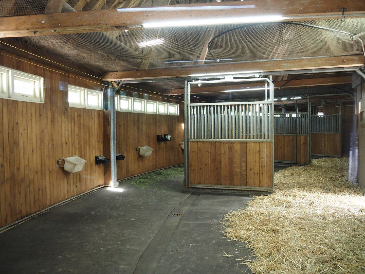 Antelope stables (At the time for Greater kudus, now home to Saharan Dorcas gazelles), 2024-06-30