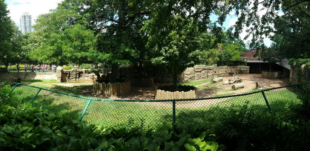 Antelope + Zebra Area - Bactrian Camel Exhibit
