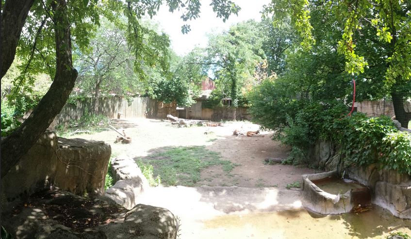 Antelope + Zebra Area - Red Kangaroo Exhibit