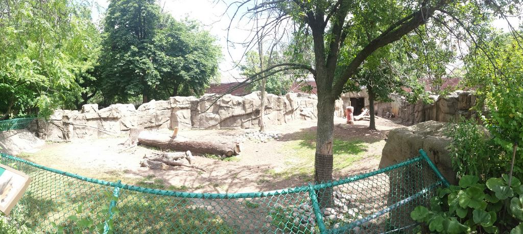 Antelope + Zebra Area - Second Sichuan Takin Exhibit