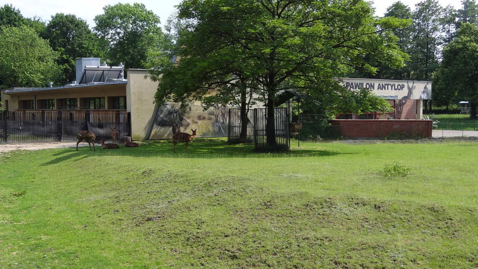 Antelopes paddocks and house