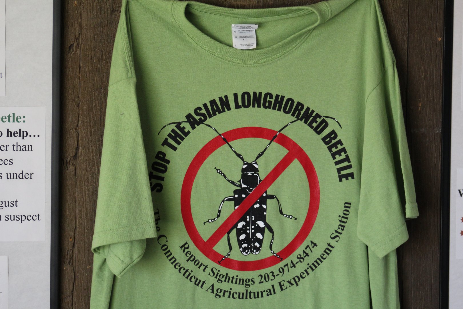 Anti-Beetle Shirt