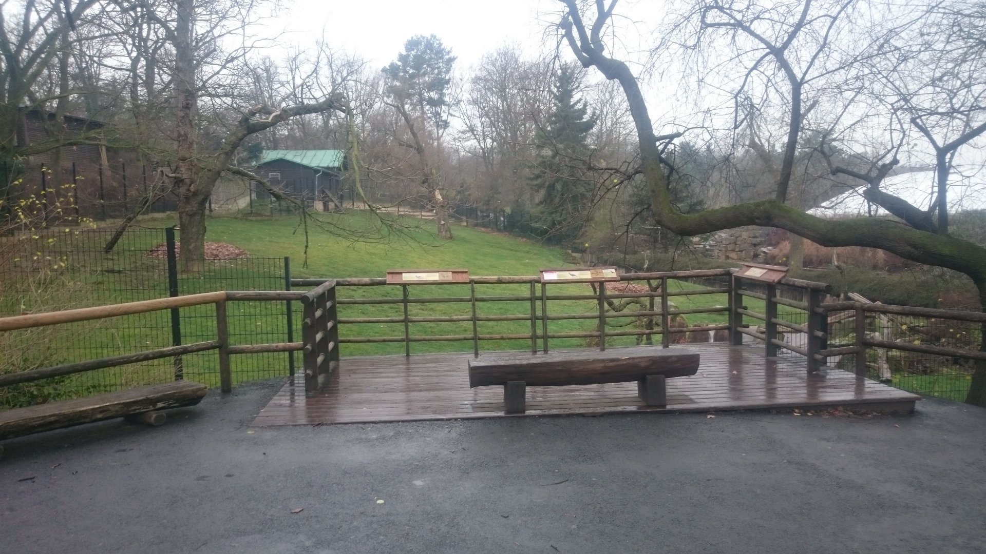 Antilope - Ground-hornbill Enclosure