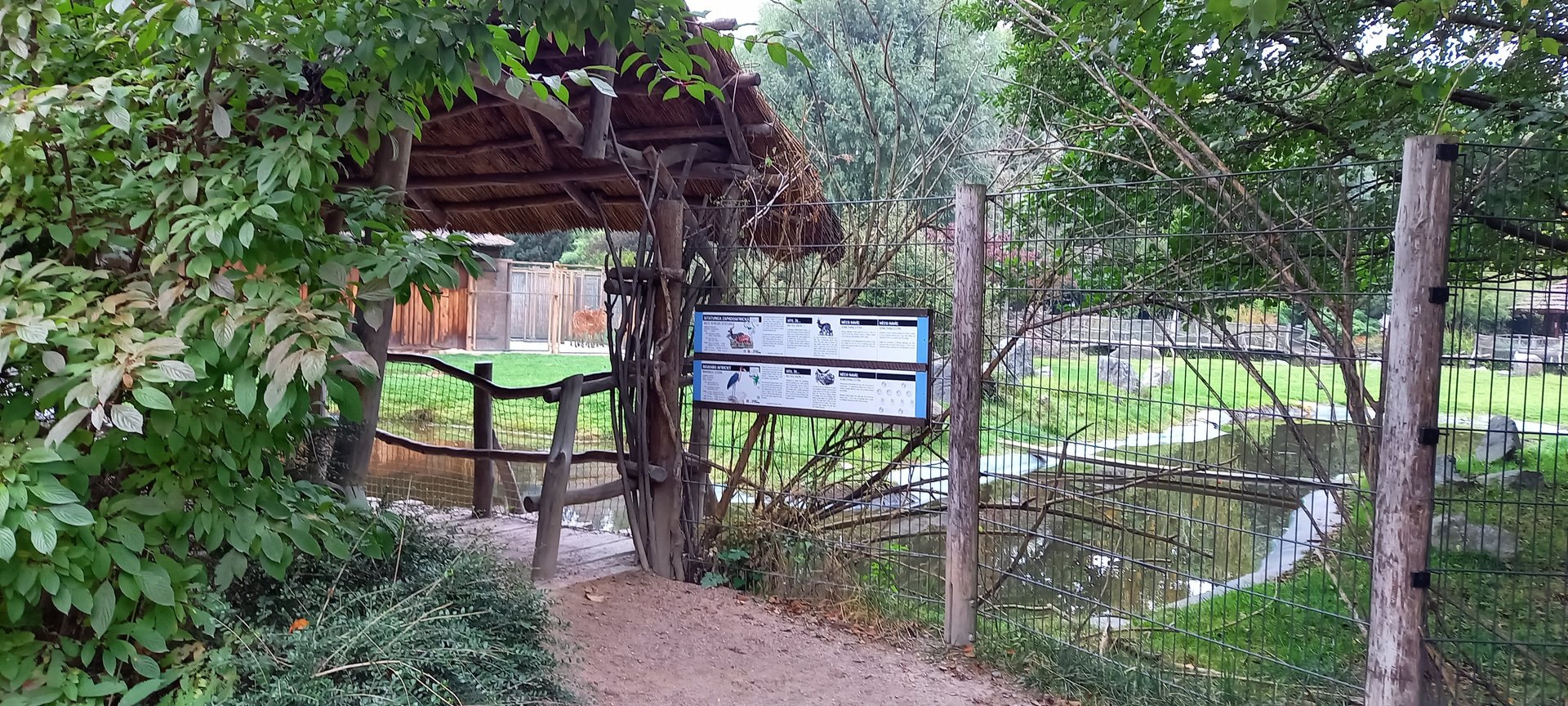 Antilope - Marabu enclosure