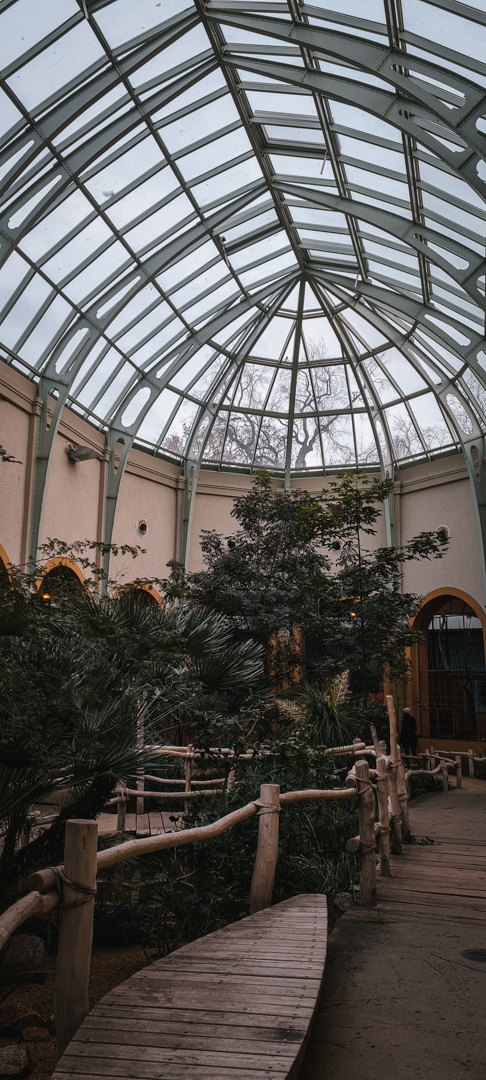 Antilopenhaus inside