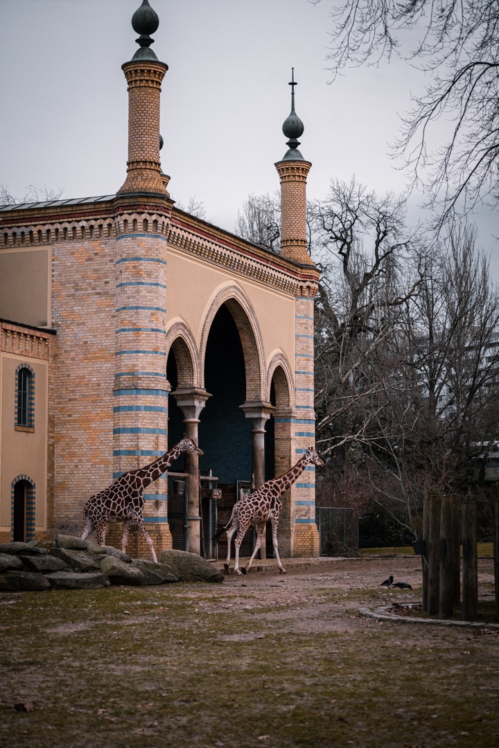 Antilopenhaus outside