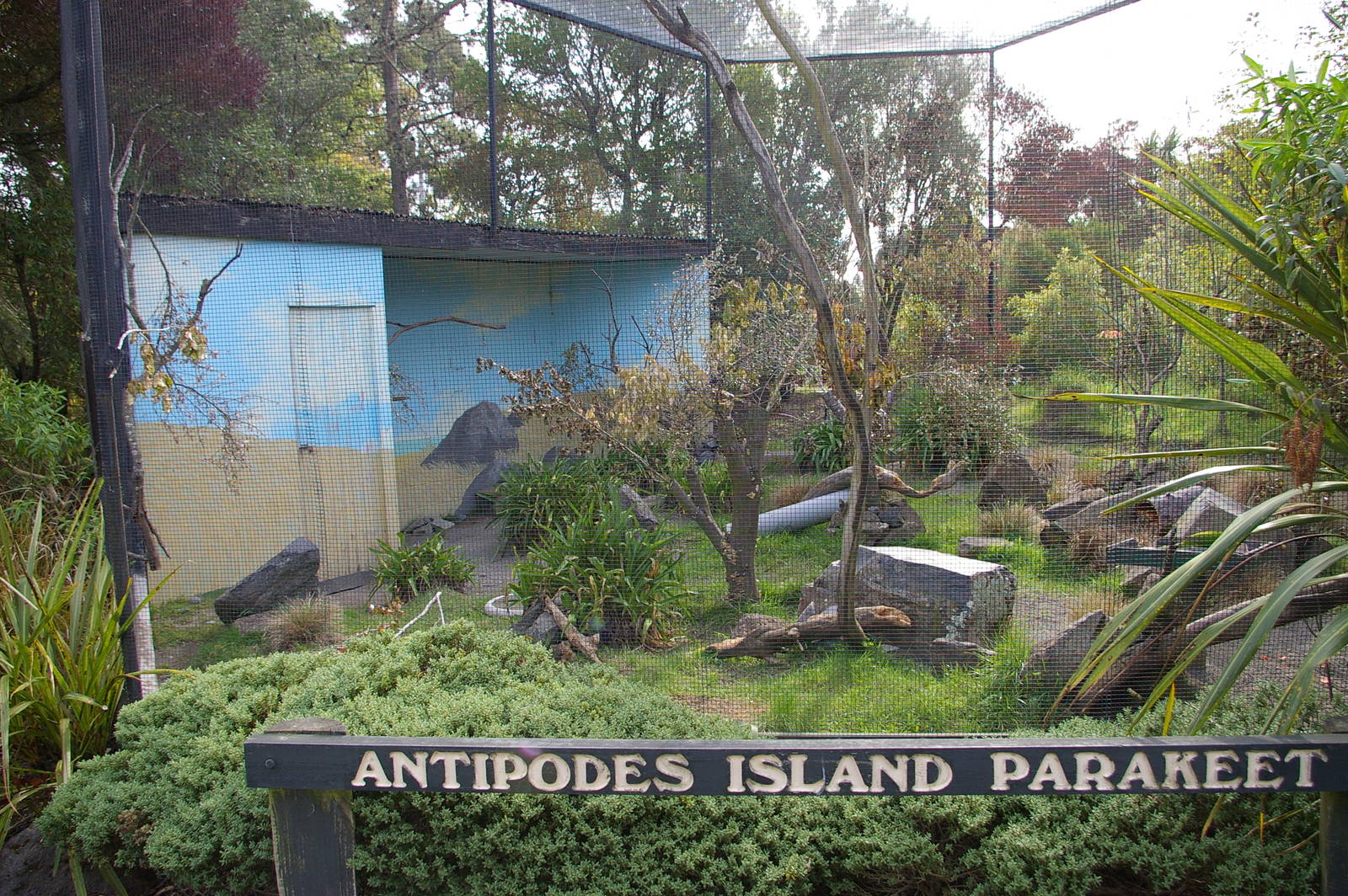 Antipodes Island parakeet aviary