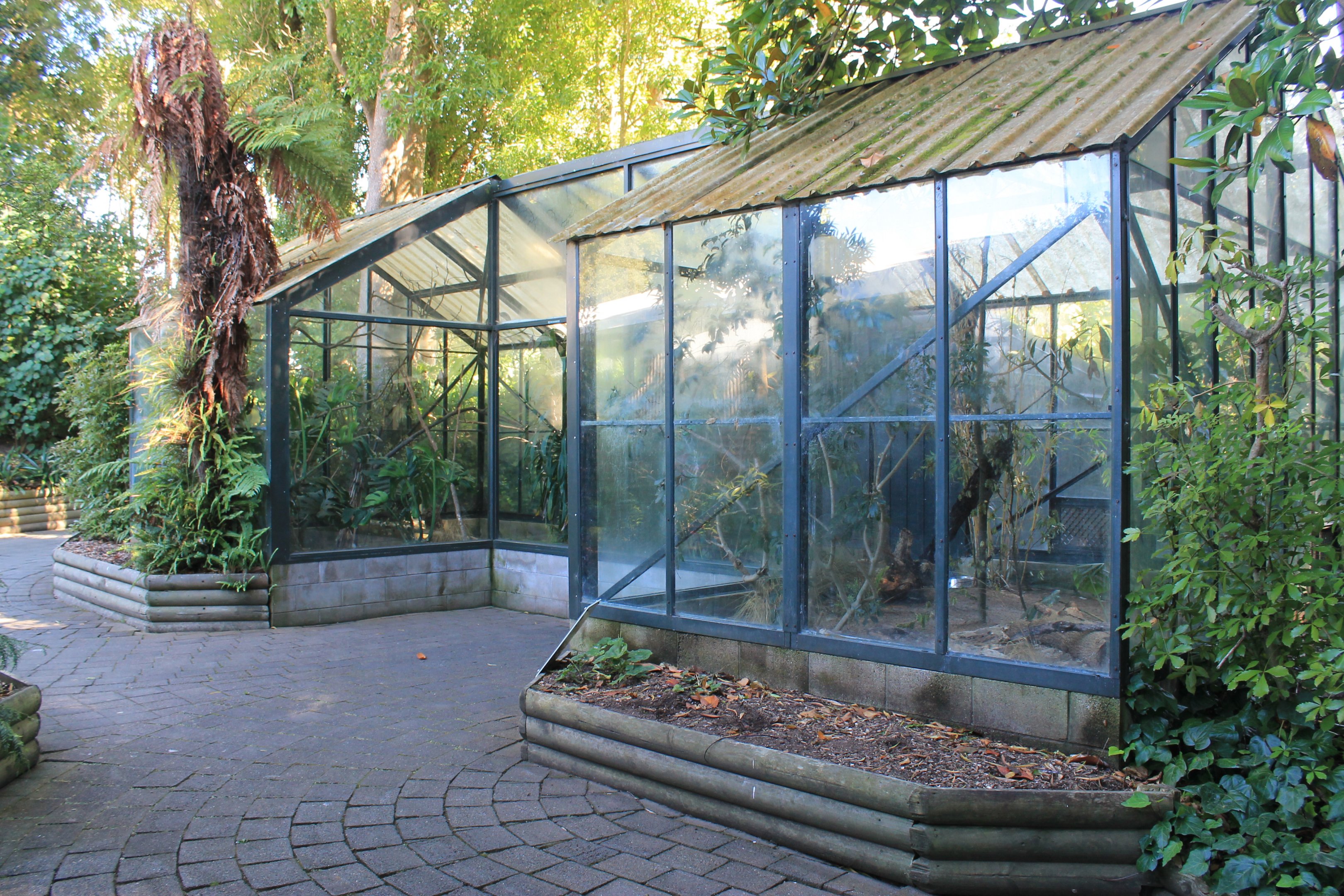 Antipodes Island Parakeet aviary