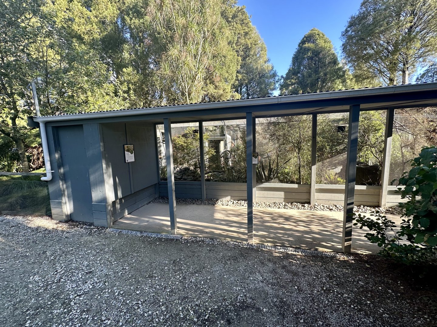 Antipodes Island Parakeet Aviary