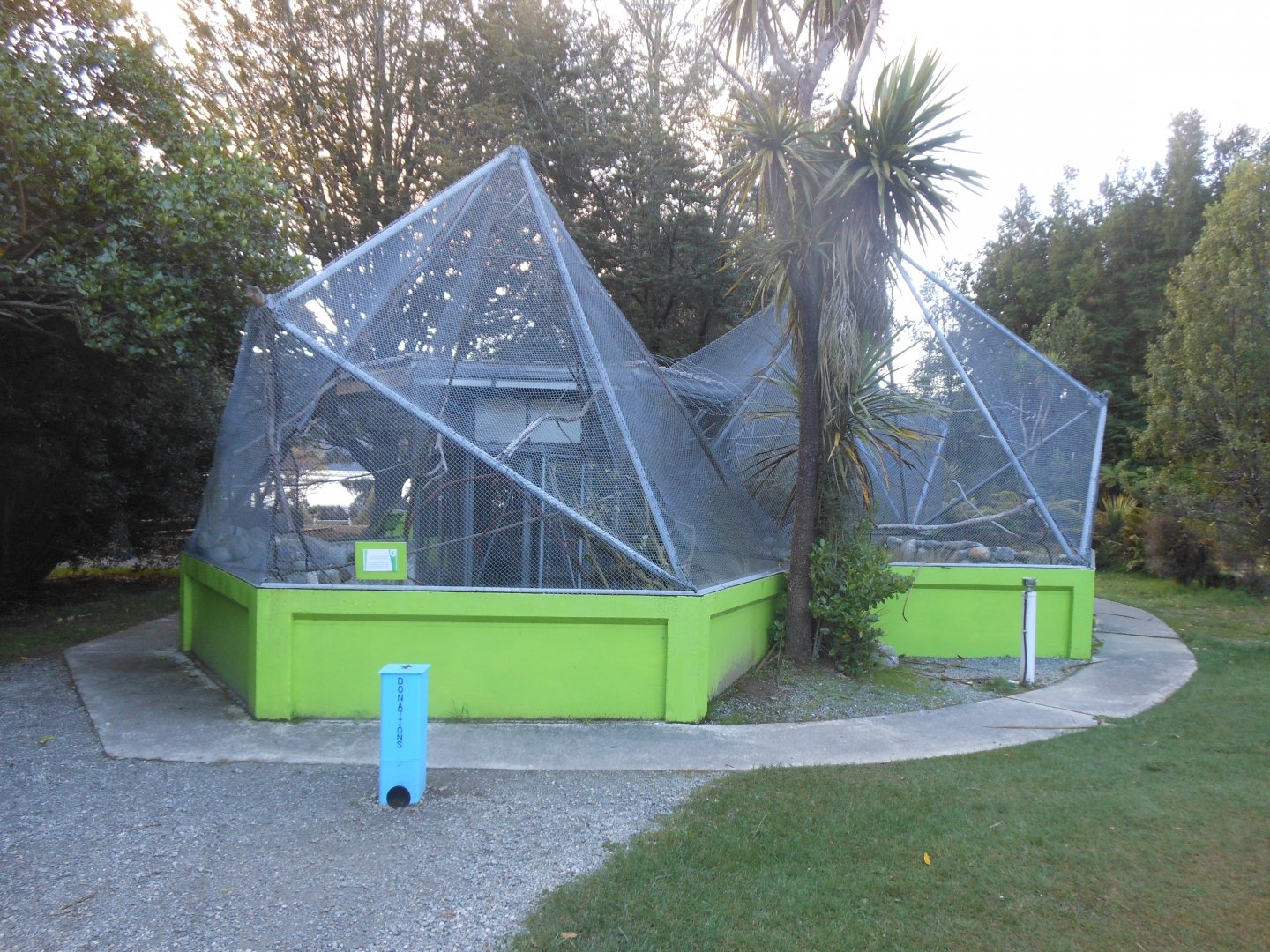Antipodes Island Parakeet enclosure