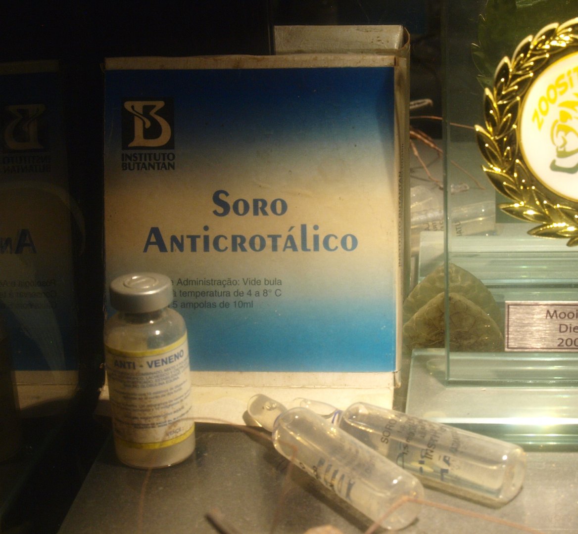 Antivenom viles and packaging, 2017-02-06