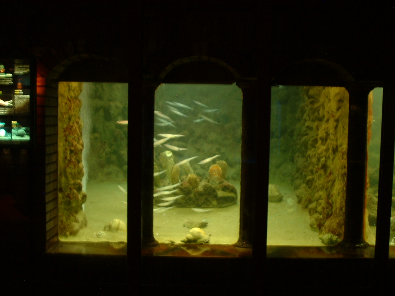 Anton Dohrn Aquarium - Napoli - Oct 2010