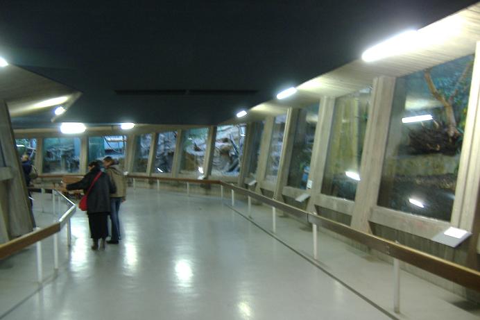 Antwerp Monkey House