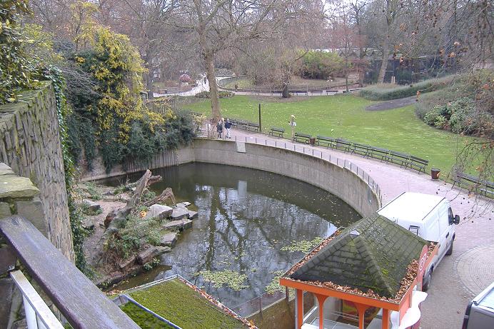 Antwerp Tiger enclosure