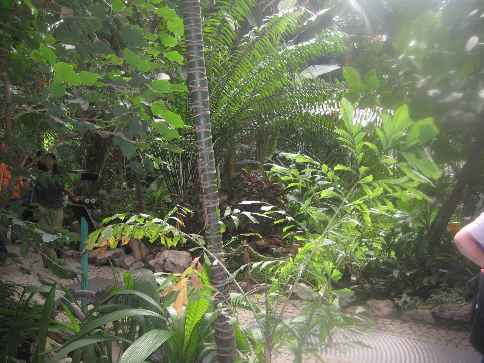 Antwerp Zoo - July 2010