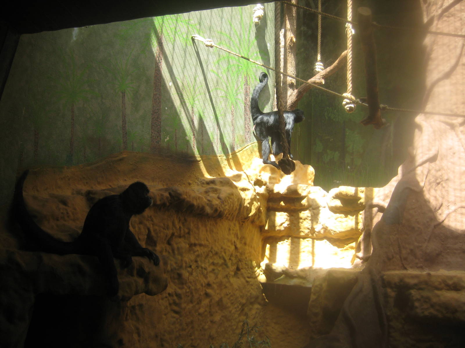 Antwerp Zoo - July 2010