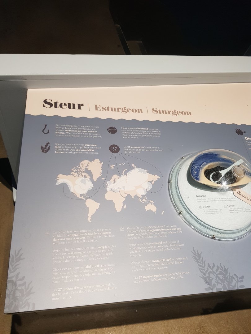 Antwerp zoo sea duck and sturgeon enclosure.