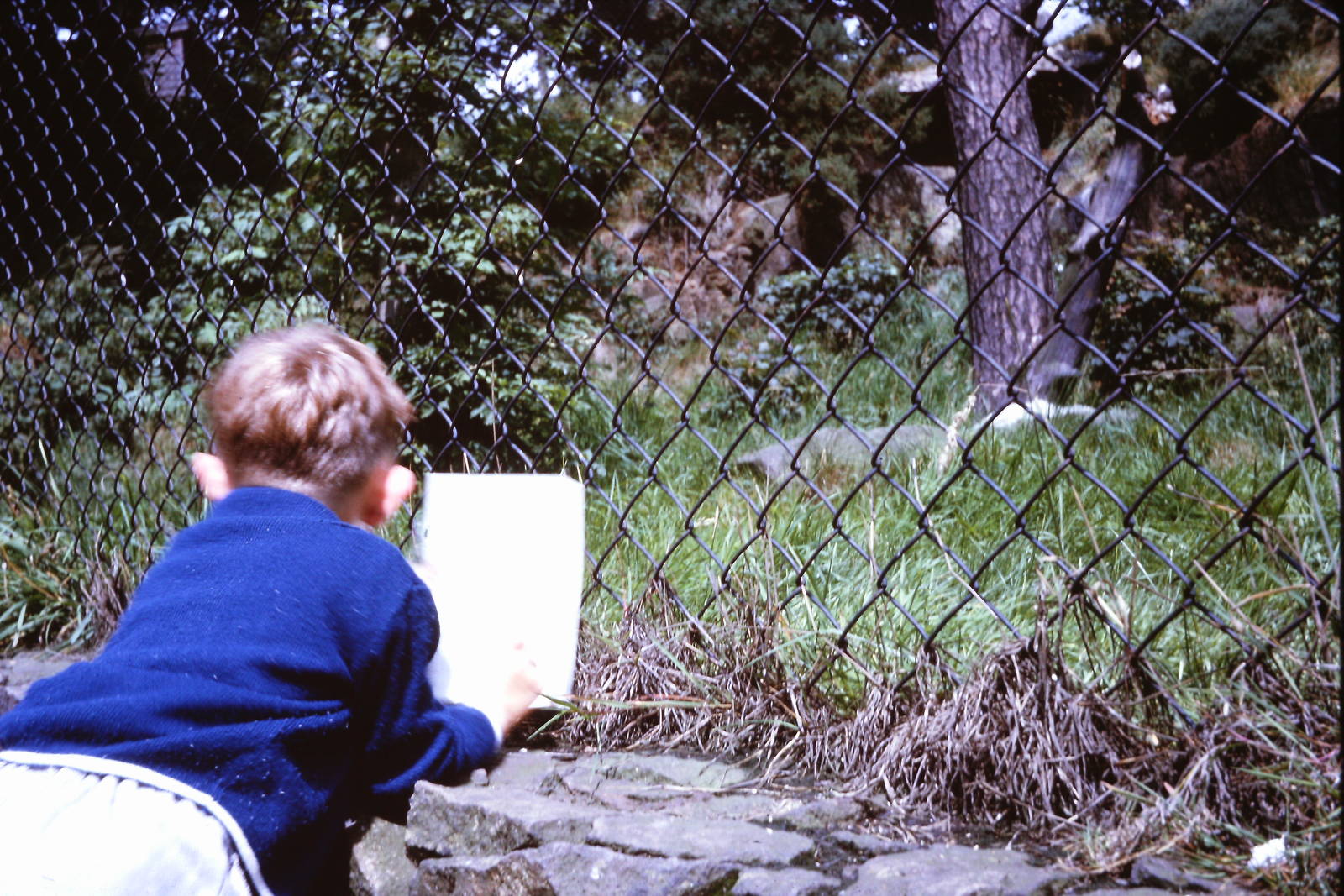 Any suggestions as to what was in here? July 1965