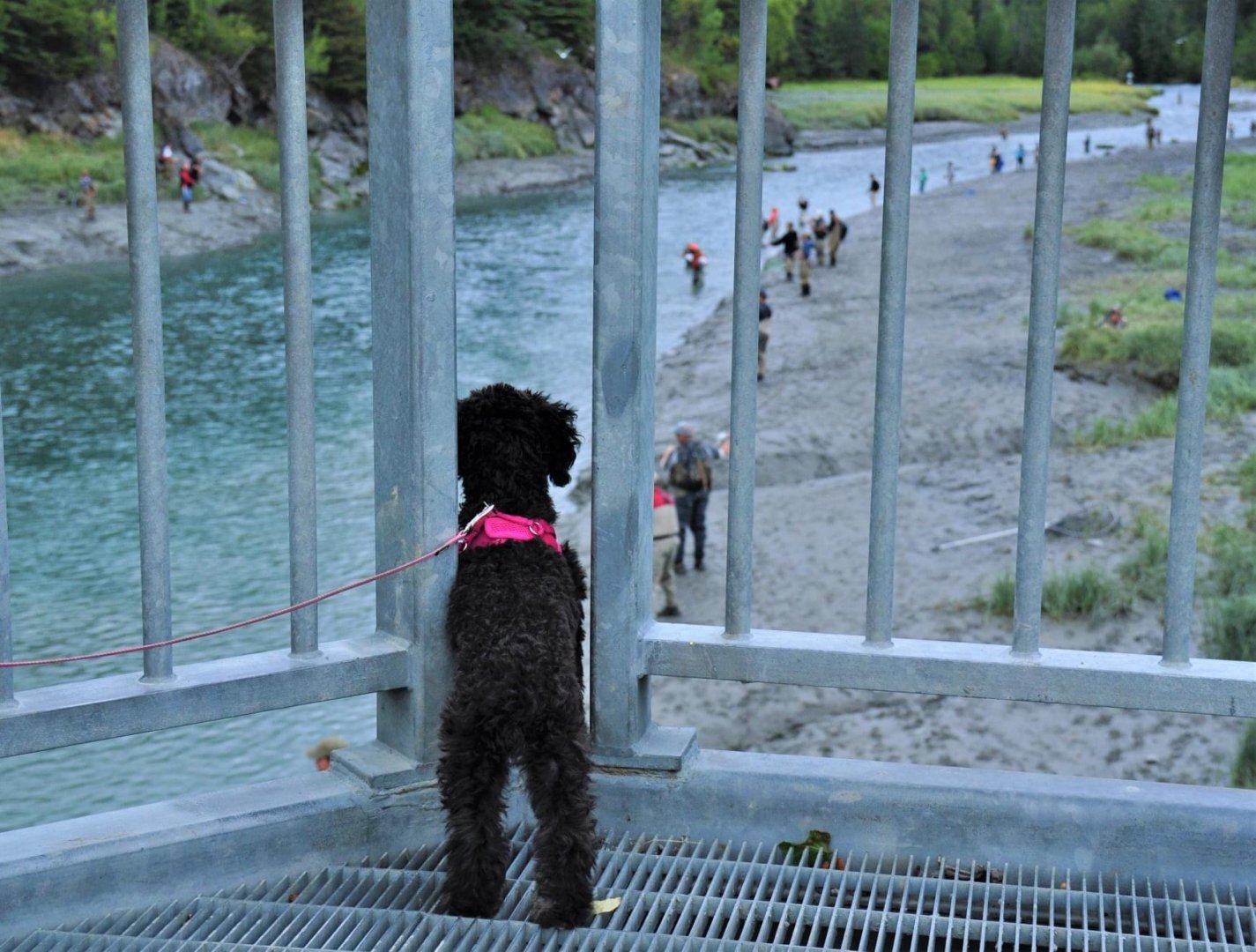 Anya watching the Fisherfolk. Alaska