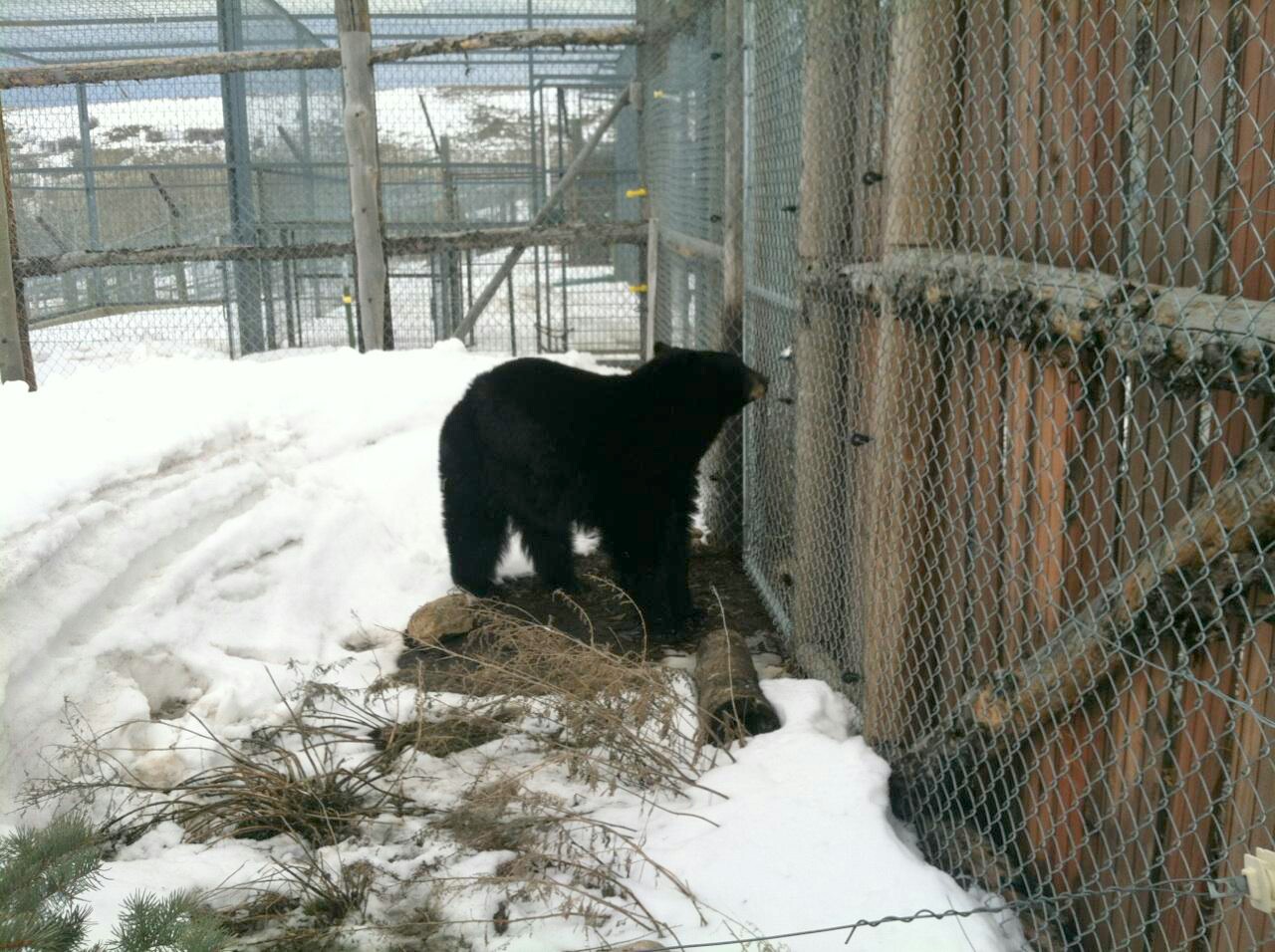 Anyone_out_there_-_Bo[1]