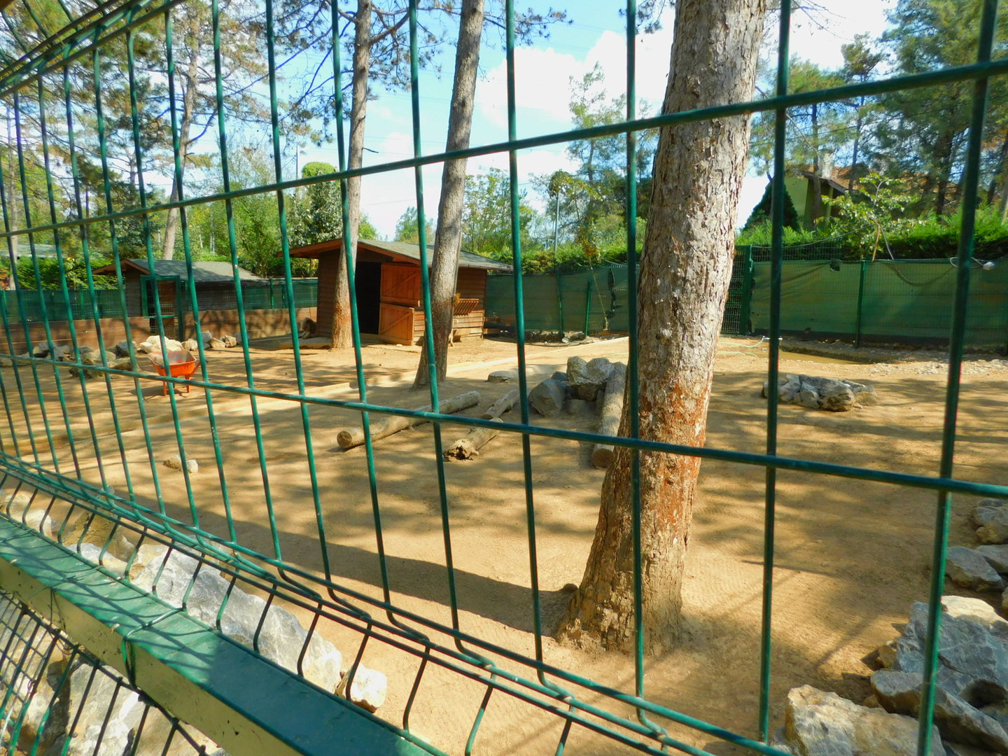 Aoudad enclosure at Park Of Istanbul