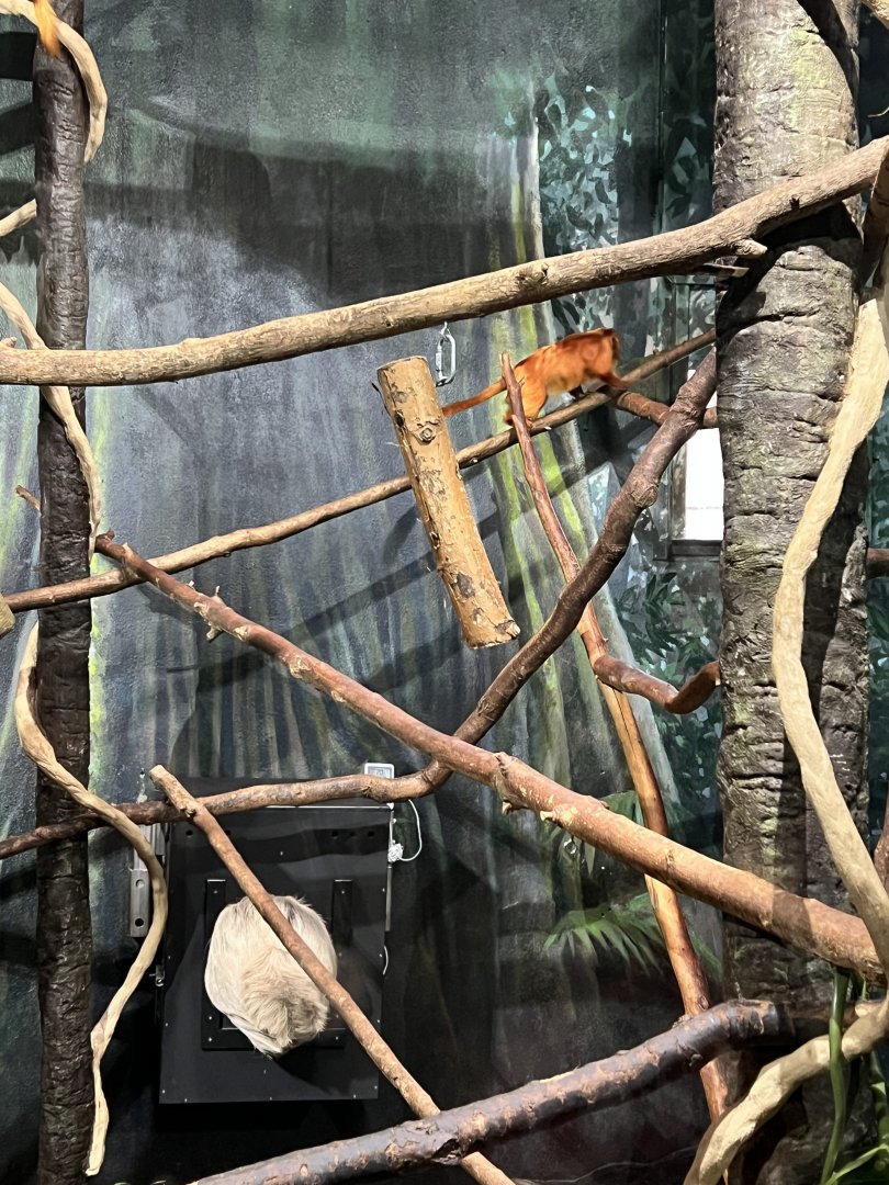 Apathy Towards the Plights of Others