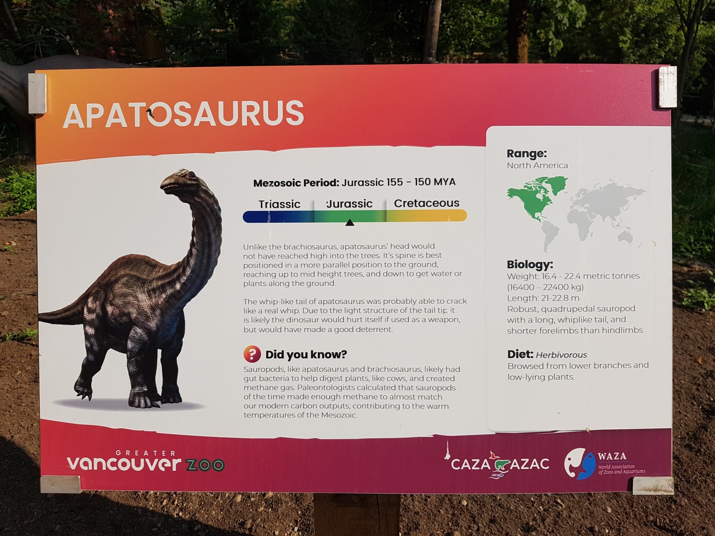 Apatosaurus Sign