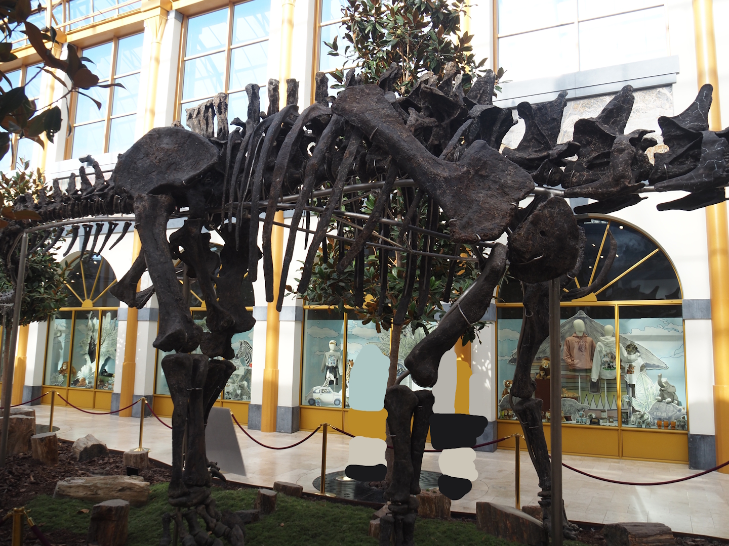 Apatosaurus skeleton 'Vulcain' (Apatosaurus species nova) in entrance gallery 'Gallery of the Worlds', 2025-09-01