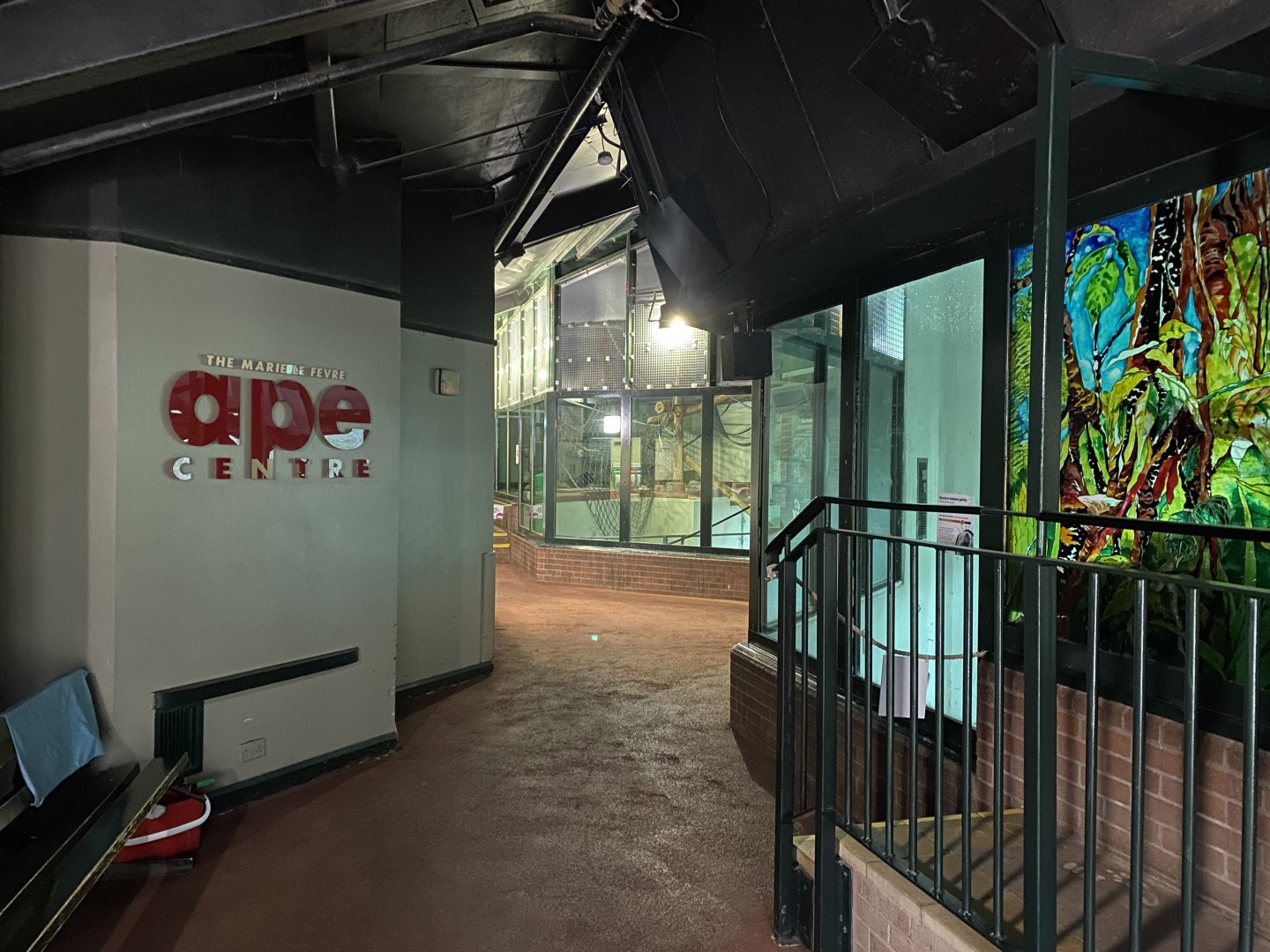 Ape Centre indoors 050224