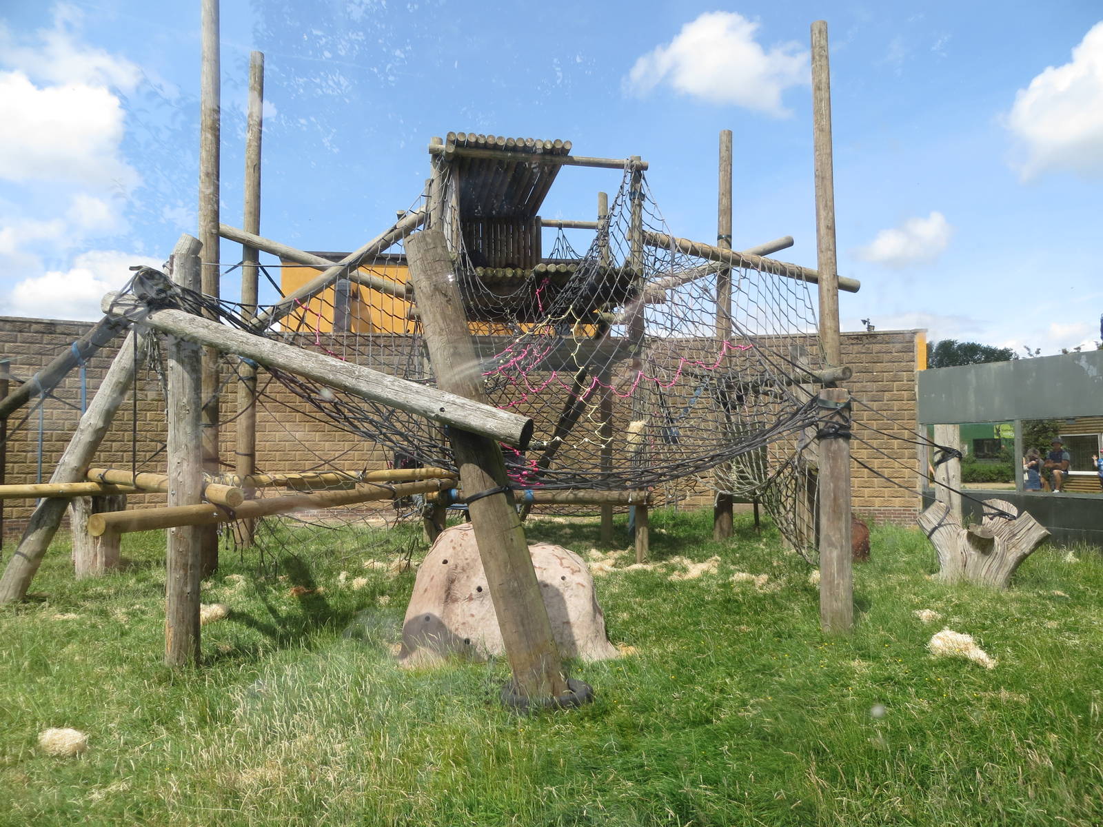 Ape climbing frame 110715