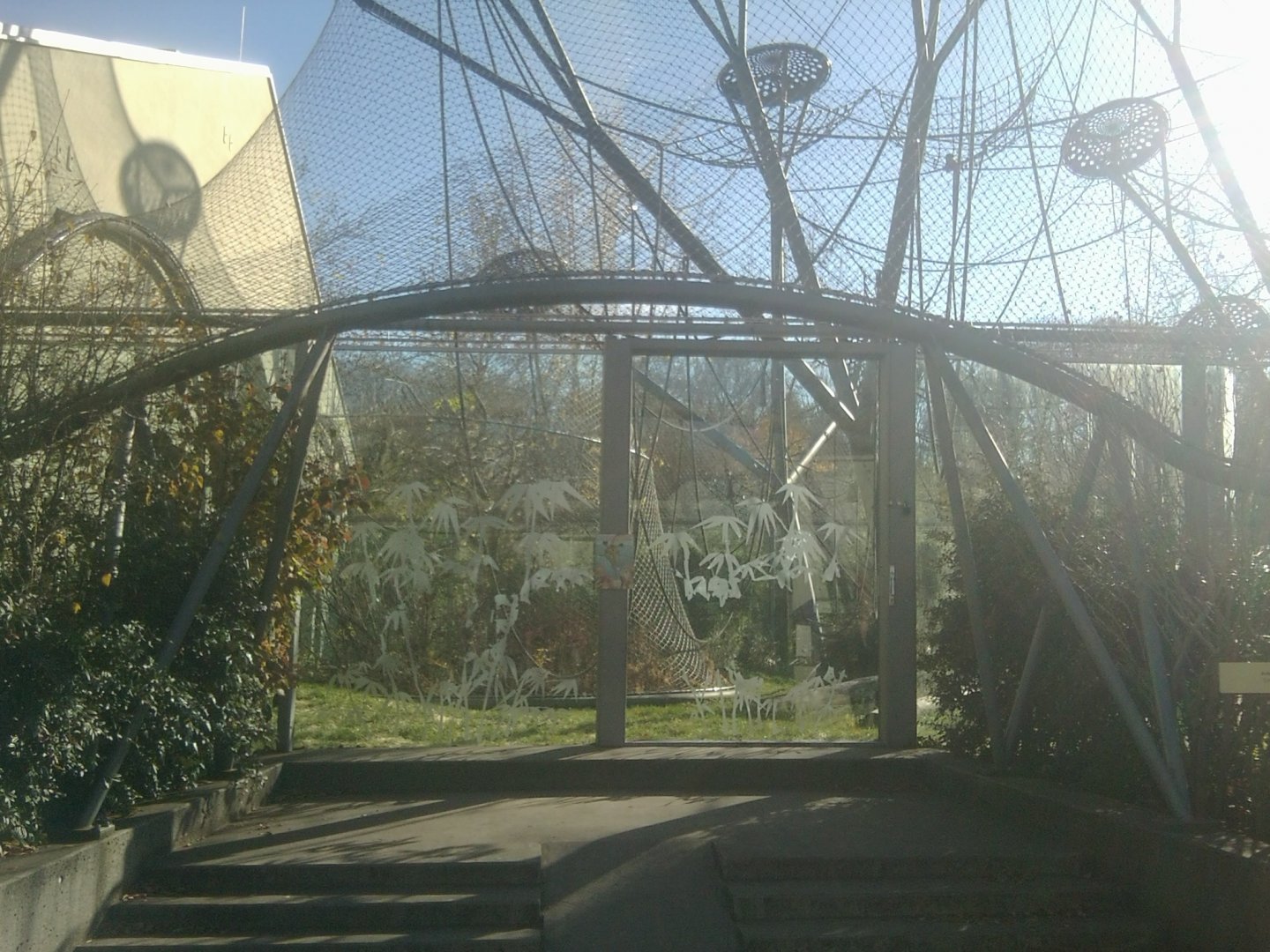 Ape Enclosure Outdoor