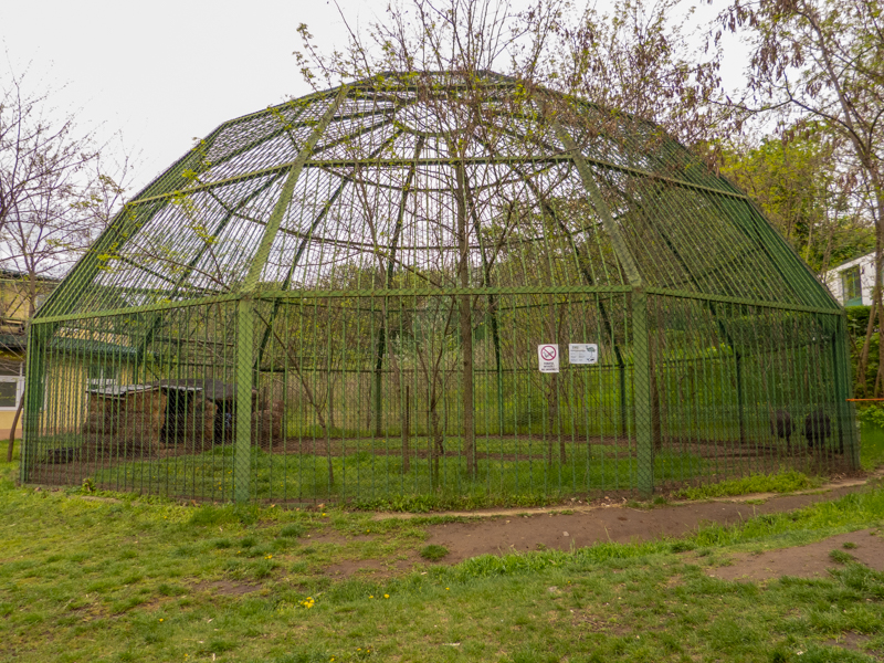 "Ape enclosure"