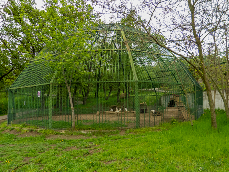 "Ape enclosure"