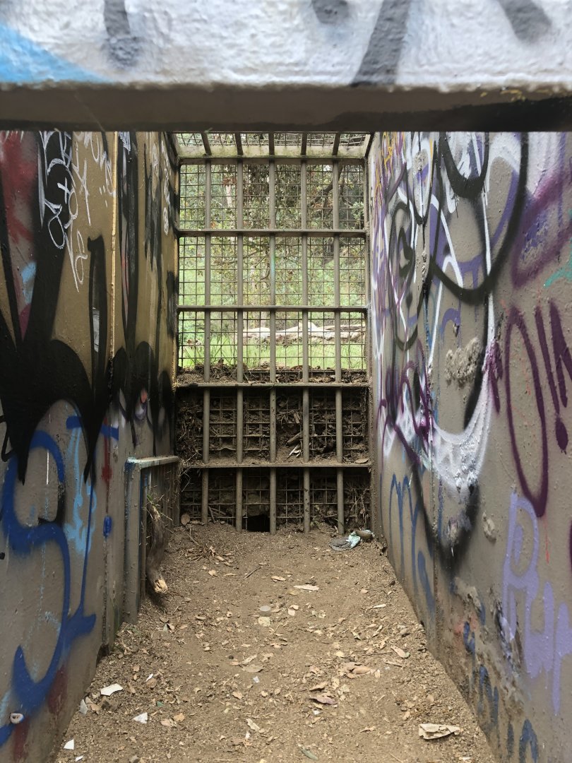 Ape exhibit transfer area